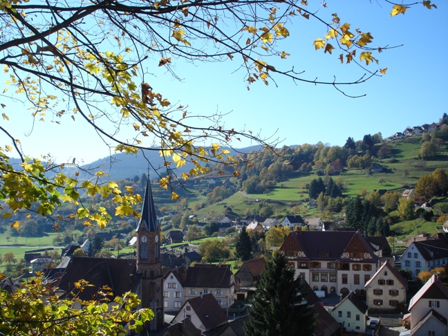 Chalet Anémone - Gîte nature à Soultzeren dans la Vallée de Munster - Alsace - Vosges - Massif Vosgien